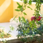 Marilia Lassi Lassi (Kefalonia)