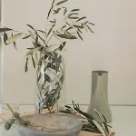 公寓 Marilia Lassi *